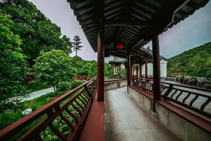 燃烧吧大脑免广告最新版